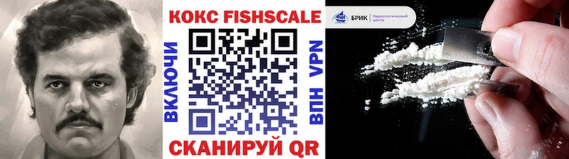 Cocaine Fish Scale  купить наркоту  KRAKEN tor  Туймазы 