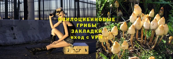 героин Алексин