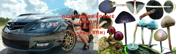 кокс Алзамай