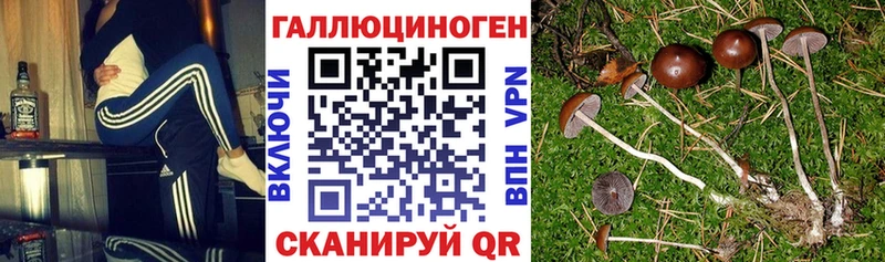 наркошоп  Туймазы  Псилоцибиновые грибы прущие грибы 